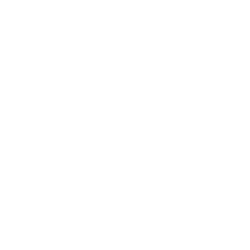 Sheik Transport